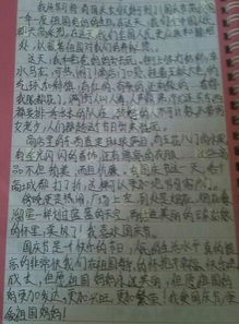 校园所见所闻所感作文五百字左右