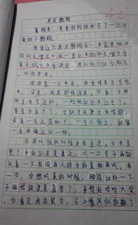 校园内发生的关于爱的作文三百字