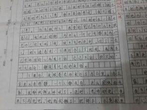 九月的校园600字作文开头