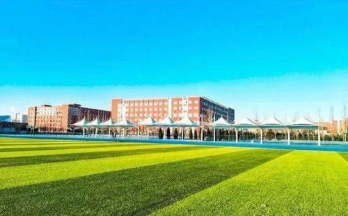 多姿多彩的校园生活大学作文