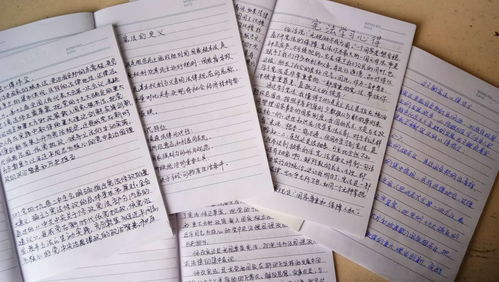 宪法进校园作文三百字