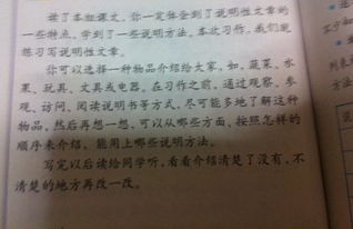 说明文,作文,校园