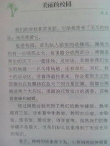 大学校园那些事作文600字