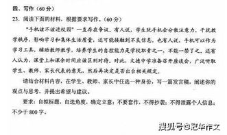 关于手机带进校园作文