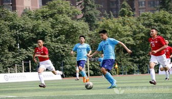 作文,足球赛,高中,校园