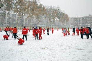 高中校园雪景作文