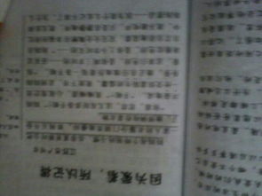 以校园欺凌为主题的作文,以校园安全为主题的作文,以平安校园为主题的作文