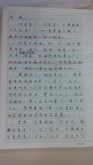 我家的校园作文600字