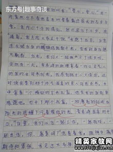 关于校园作文的评语