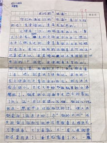 关于实验二小的美丽的校园的作文,美丽的校园300字,美丽的校园作文400字四年级