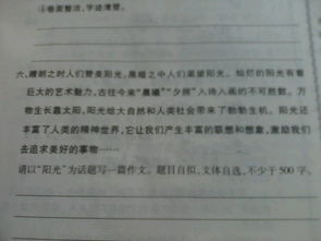 校园里的一角500字作文初中