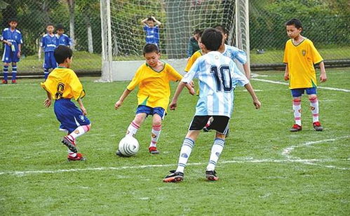 校园足球节作文400字