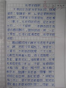 交通安全进校园作文700字