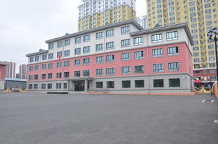 普兰店,作文,小学,校园