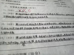 健康跑步校园内作文