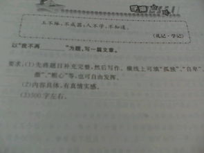 新的校园新的环境作文500字初一