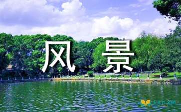 描写校园景色优美作文6