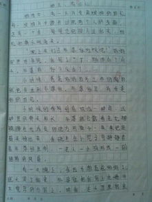 美好的校园初三作文600字作文题目