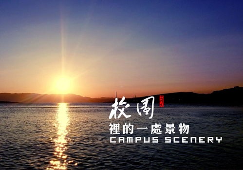 校园冬天的景色作文字