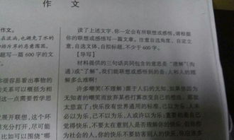 校园里的假山作文500字,校园的假山作文600字,校园里的假山作文