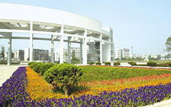 我的校园小作文100字