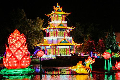 元宵节灯会作文600字,中秋灯会作文600字,描写灯会的作文600字