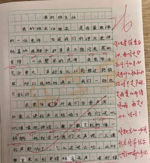 作文,字左右,校园