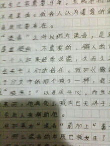 我的校园五级作文400字作文