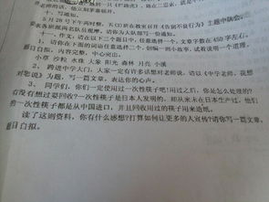 我们美丽的校园450字作文怎么写