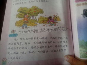 春景,作文,片段,字左右