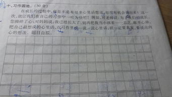 校园晨跑作文600字四级