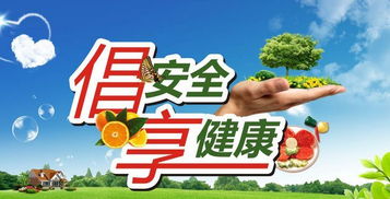 作文,校园
