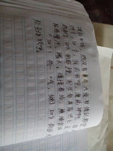校园春天梦作文的结尾怎么写