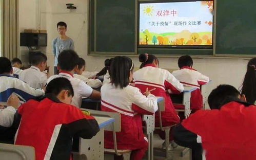 长风中学进行校园改造作文