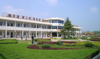 我们的校园真美呀作文300字