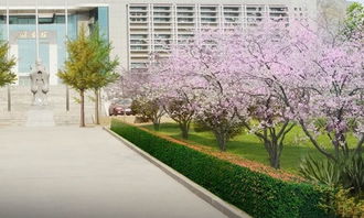 作文校园风景200字