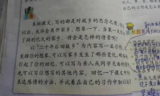 阳光校园我们是好伙伴的作文五百字