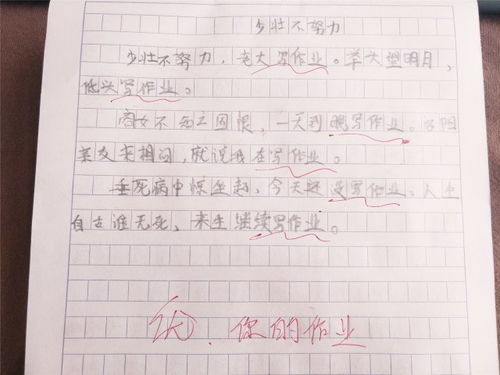 关于校园奇葩的作文600字