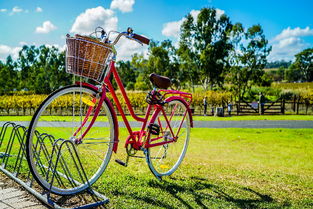 共享单车给大学校园带来的问题英语作文