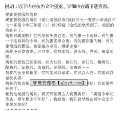 校园一角写花作文500字