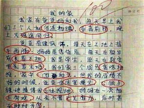 梦回校园作文400字