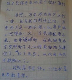 作文,愉快,经历,校园