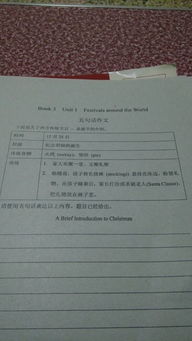 圣诞节的校园作文英语