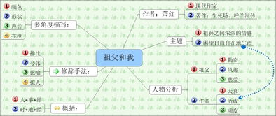 校园的树思维导图作文500字