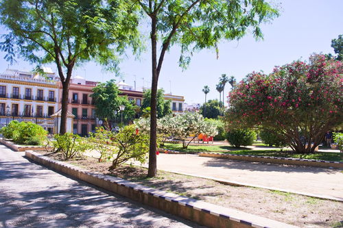 保护校园环境的作文700