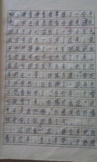 作文,参考,校园