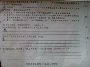 校园的秋作文500