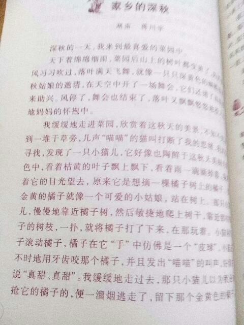 作文,结尾,风光无限,校园