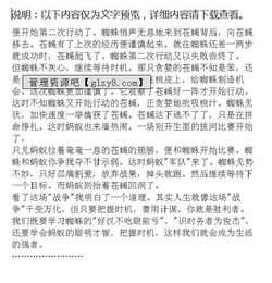 校园里的蜘蛛网作文