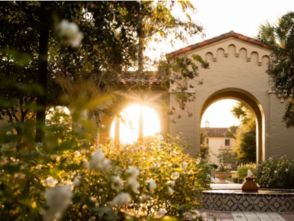 西方大学校园的美丽作文